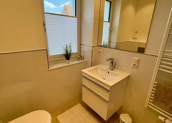 Heideglueck * سولتو